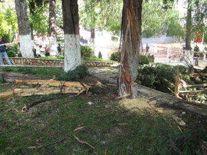 Kitap okurken yıldırım düştü!