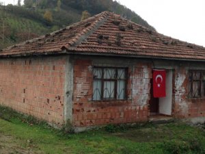 Hainler, aşeren eşine meyve alırken vurdu!