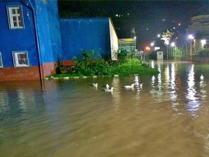 Bir ördeğimiz eksikti!