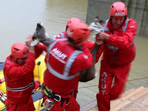 Dereye düşen karaca böyle kurtarıldı!