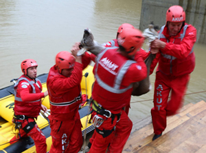 Gölete düşen karacayı akut kurtardı