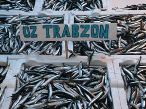 Havaların soğuması balıkçıya yaradı!