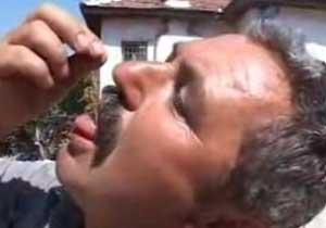 Canlı Canlı Akrep Yiyor