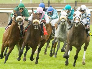 Atçılık ''dört nala'' ilerliyor