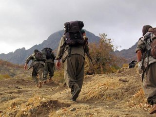 Şırnak’ta 8 Terörist Teslim Oldu: Toplam Sayı 445’e Ulaştı