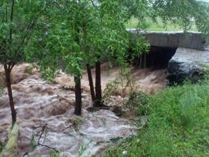 Erozyonla mücadelede sevindiren gelişme