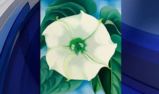 44 milyon dolarlık 'çiçek'