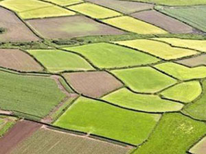 Tarım arazileri inşaata kurban gitmiş