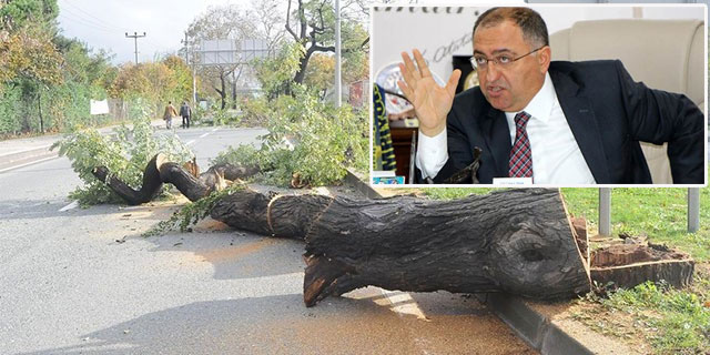 ‘İnsan canını trilyon ağaca tercih ederim’