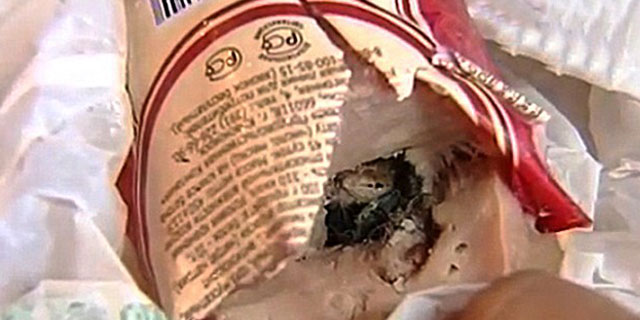 Sucuktan çıkan şey şoke etti!