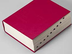 Sanal aleme alternatif "muhafazakar" sözlük