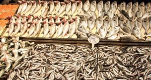 Balık fiyatları zamlandı