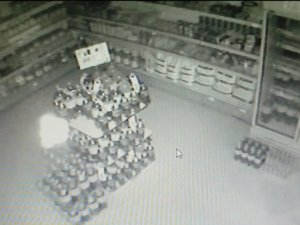 Ordu'da ürküten görüntü!