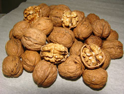 Giresun'da ceviz sıkıntısı