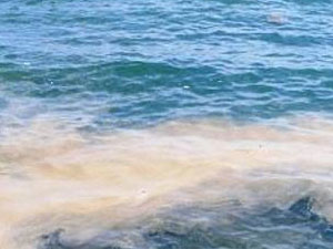 Trabzon'da skandal ortaya çıktı