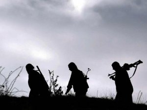 2 çocuğu PKK'ya götüreceklerdi