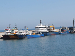 İş bulamayınca Karadeniz'e sarıldılar