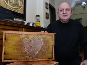 Gümüşhane'de arılar aşka geldi!