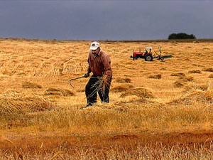 Karadeniz'de ilginç hobi...