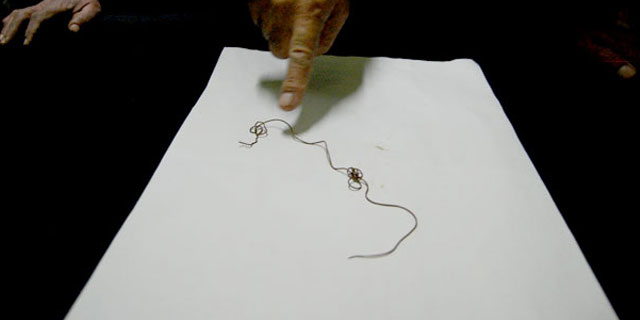 Kimse ne olduğunu çözemedi