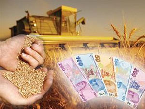 Bu başvuruları kaçırmayın!