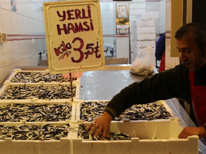 Hamside müthiş fiyat!