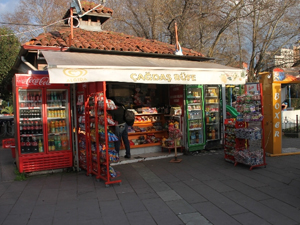 İş yerine önce kedi sonra hırsız girdi