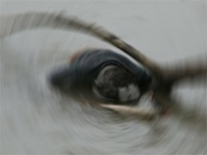 5 ay sonra cesedi bulundu