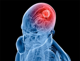 İnsan beyninde müthiş keşif