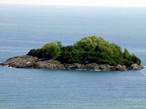 Giresun Adasına yeni proje