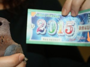 Milli Piyango yılbaşı özel çekilişi başladı