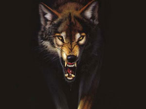 Trabzon'da kurtlar sürüye saldırdı