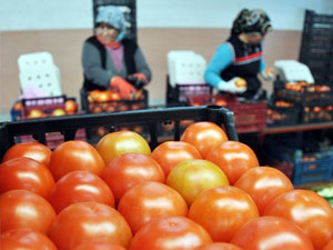 Kadın çiftçilere pozitif ayrım