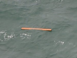 Uçak kayboldu, 31 ceset bulundu!