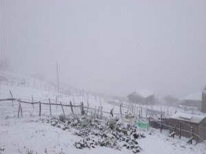 Giresun'da o yol ulaşıma kapandı