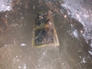 Ordu'da akılalmaz hırsızlık yöntemi