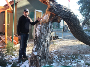 Sebebi ateş değil buz !