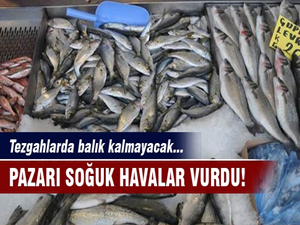 Tezgahlarda satacak balık kalmayacak!