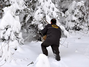 D. Karadeniz'de yaban hayvanları unutulmadı