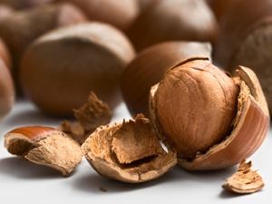 Fındık yine rekor tazeledi