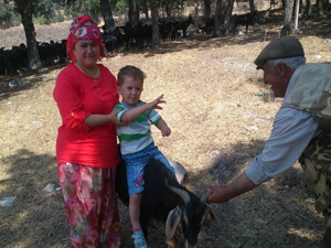 Soba yine can aldı!