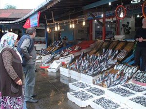 Balık fiyatları el yakıyor