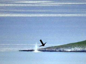 Kardak'ta hareketli anlar