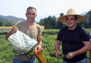 Kurtlar Karadeniz'e girerse...