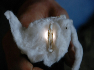 Rüyasındaki sese kulak verdi ve...