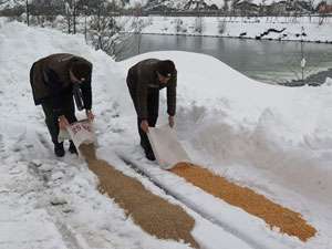 "Yaban hayvanlarını beslerken öldürmeyelim"