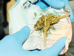 Ordu'da uyuşturucu savaşında yeni hamle