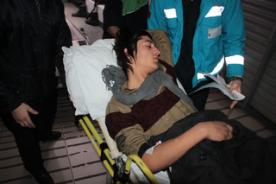 Bonzai bu hale getirdi