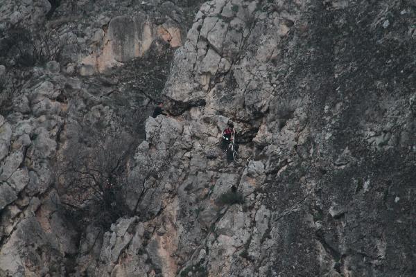 Keçileri itfaiye kurtardı