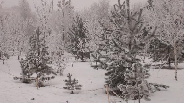 Kars ve Ardahan eksi 17